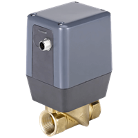 Regulator Valves